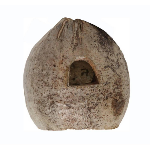 Visuel 1 du produit Noix de coco pour terrarium coloris marron Reptile Planet Coco Home