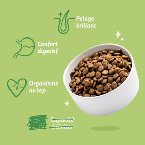Visuel 7 du produit Croquettes pour chien adulte à l'agneau sans céréales Edgard & Cooper - 7 kg