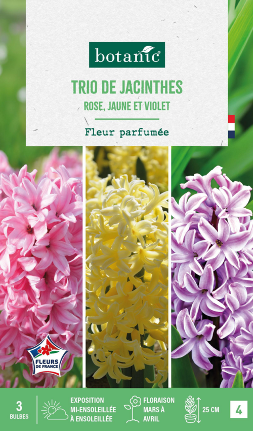 Visuel 1 du produit Jacinthe trio botanic® - 3 bulbes