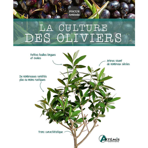 Visuel 1 du produit Livre "La culture des oliviers" aux Éditions Artémis