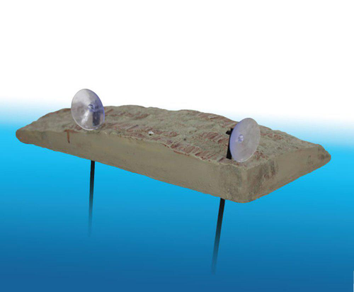 Visuel 2 du produit Île flottante pour tortue aquatique avec ascenseur coloris marron Reptile Planet Turtle Island - Taille M - 21 x 16 x 3,6 cm