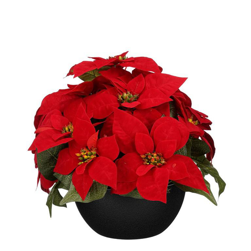 Visuel 1 du produit Plante artificielle Poinsettia rouge en pot - Ø 35 x H 30 cm