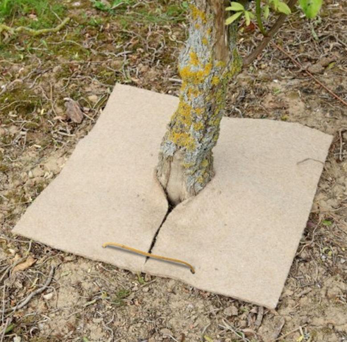Visuel 1 du produit Carrés de chanvre pour paillage coloris beige 800gr/m² x 2 - 40 x 40 cm
