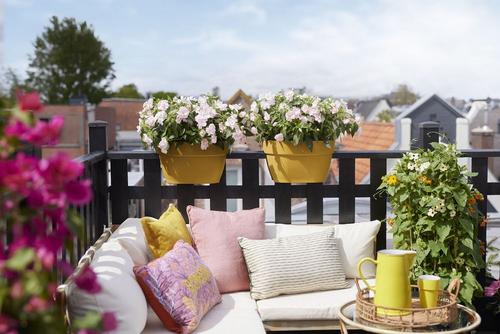 Visuel 7 du produit Jardinière flower bridge en plastique recyclé coloris jaune miel Elho Vibia Campana - 22 x 26 x 39 cm