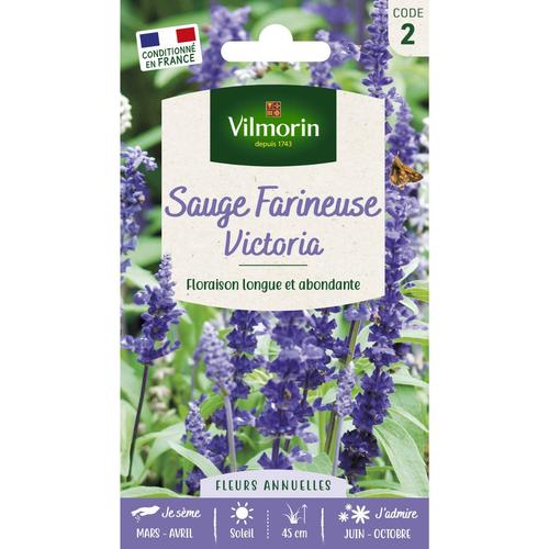 Visuel 1 du produit Sachet de graines de sauge