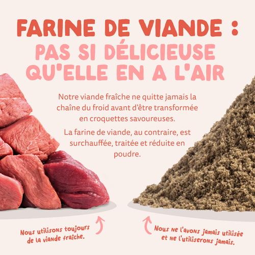 Visuel 10 du produit Croquettes pour chien senior au poulet et au saumon sans céréales Edgard & Cooper - 2,5 kg