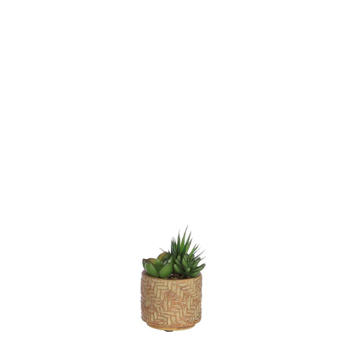 Visuel 1 du produit Succulente artificielle verte en pot H 11 x Ø 7,5 cm