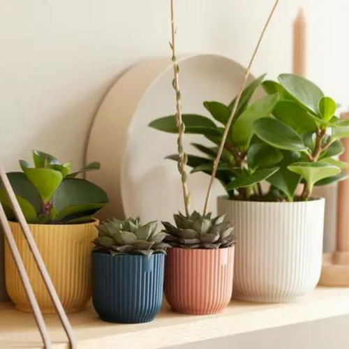 Visuel 5 du produit Cache pot blanc soie Elho Vibes fold mini - Ø 11 cm
