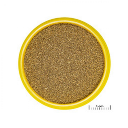 Visuel 3 du produit Aliment pour poissons de petite taille ProNovo Neon Grano XXS, JBL - 16g 20ml