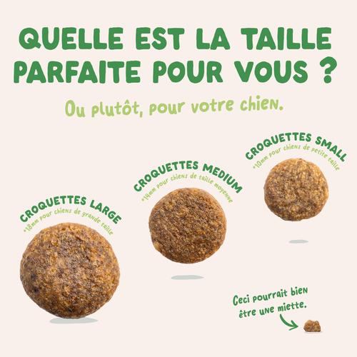 Visuel 6 du produit Croquettes pour chien adulte à l'agneau sans céréales Edgard & Cooper - 7 kg
