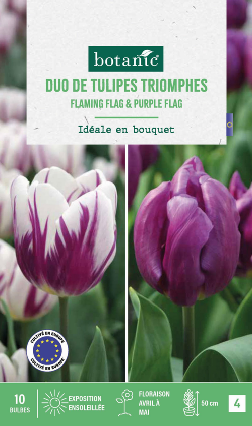 Visuel 1 du produit Duo tulipe botanic® - 10 bulbes