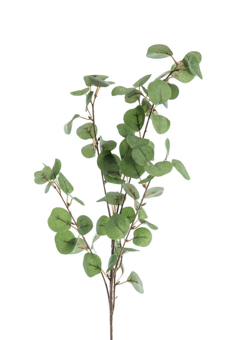 Visuel 1 du produit Fleur artificielle en papier tige Eucalyptus coloris vert - H 88 cm
