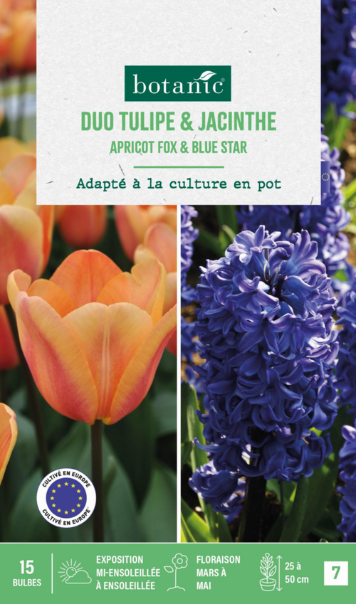 Visuel 1 du produit Tulipe jacinthe en mélange botanic® - 15 bulbes