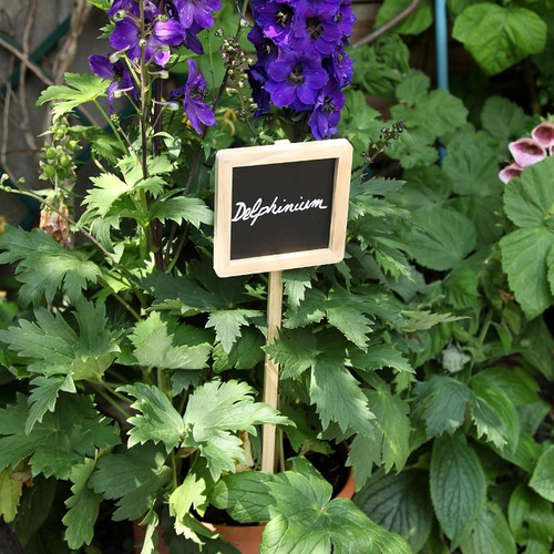 Visuel 2 du produit Etiquette à planter en bois et ardoise - 56 cm