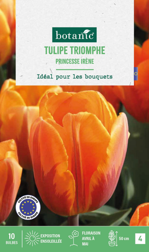 Visuel 1 du produit Tulipe princes irene botanic® - 10 bulbes