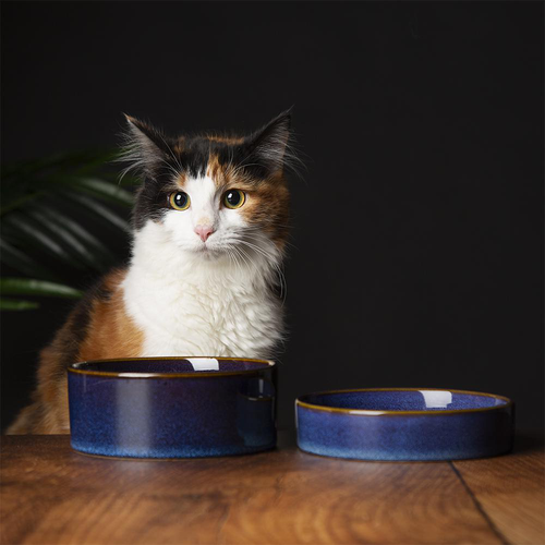 Visuel 2 du produit Gamelle pour chat en grès coloris bleu nuit Reactive Glaze Scruffs - 13 x 13 x 3 cm