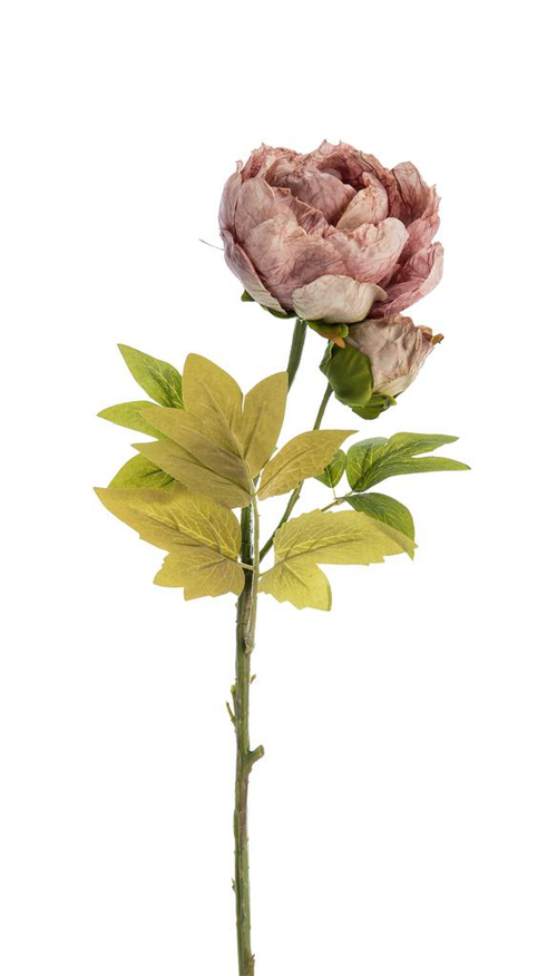 Visuel 1 du produit Fleur artificielle en papier tige de pivoine coloris rose - H 62 cm