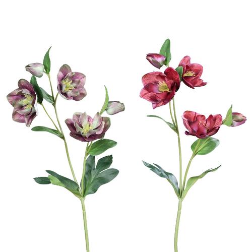 Visuel 1 du produit Pique d'hellébore artificiel 3 fleurs et 2 boutons - 43 cm
