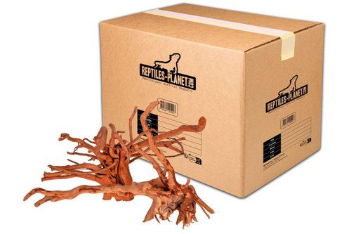 Visuel 1 du produit Décoration pour aquarium en bois racine araignée Reptiles Planet - Taille L (36 à 45 cm)