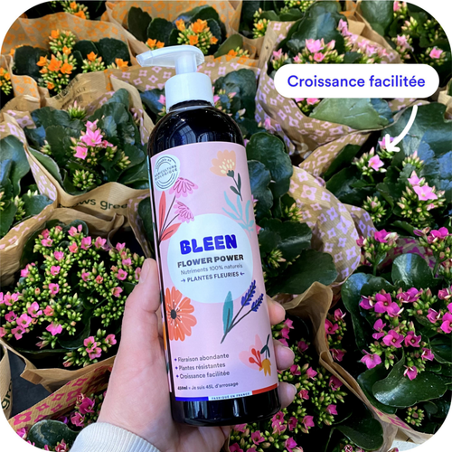 Visuel 4 du produit Engrais plantes fleuries liquide naturel Bleen - 450 mL