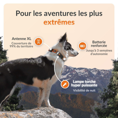 Visuel 9 du produit Collier GPS pour chien coloris noir Weenect XT