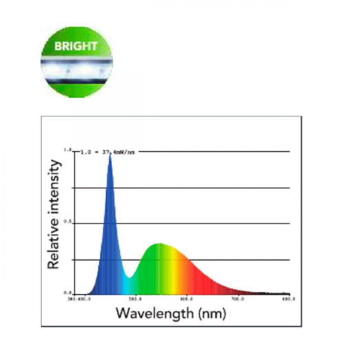 Visuel 2 du produit Éclairage LED brillant, 120cm, SUPERFISH - modèle RetroLED