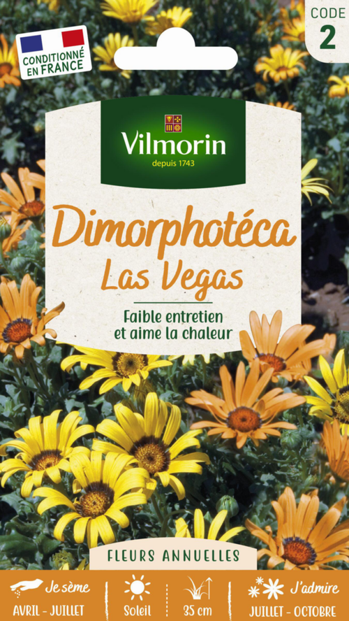 Visuel 1 du produit Graines de Dimorphotéca Las Vegas Vilmorin - graines à semer