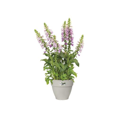 Visuel 3 du produit Pot rond en plastique recyclé coloris blanc soie Elho Vibia Campana - Ø 40 x H 33,4 cm