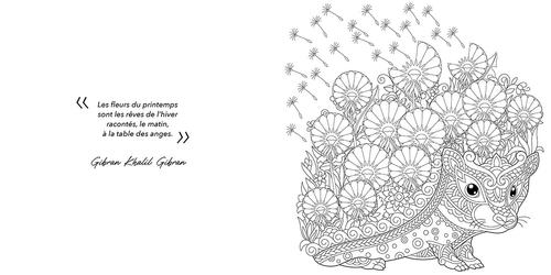 Visuel 4 du produit Livre de coloriage "Rêves en couleurs" aux Éditions Artemis