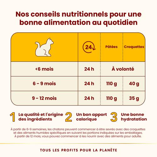 Visuel 4 du produit Pâtée pour chaton HFC au poulet Almo Nature - 70 g