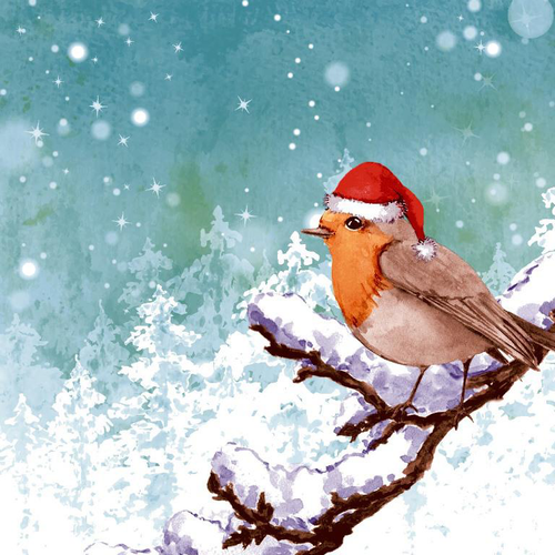 Visuel 1 du produit 20 serviettes 3 plis Robin Snow - 33 x 33 cm