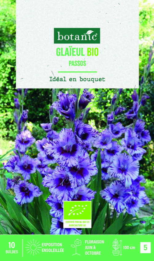 Visuel 1 du produit Bulbes de fleurs Glaïeul grandes fleurs Passos bio botanic® - 10 bulbes