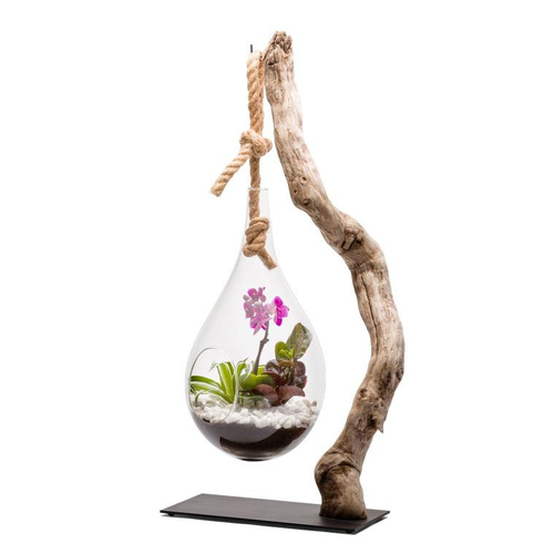 Visuel 1 du produit Terrarium Drop S Orchidée en verre avec pied en métal et bois flotté taille L - Ø 15 cm