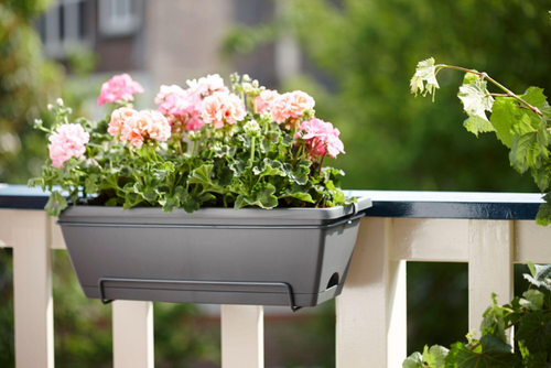 Visuel 3 du produit Jardinière en polypropylène anthracite Elho Barcelona - 49,5 x 27,5 x 18,5 cm