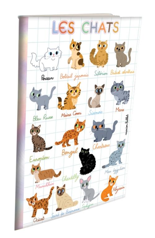 Visuel 6 du produit Cahier doré aux Éditions Cartesdart