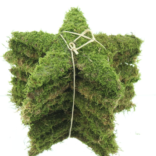 Visuel 1 du produit Étoile en mousse coloris vert – Ø 30 cm