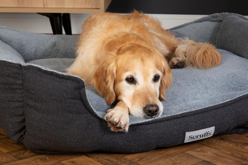 Visuel 6 du produit Couchage orthopédique pour chien coloris gris Scruffs Harvard - Taille XL 90 x 70 x 20 cm