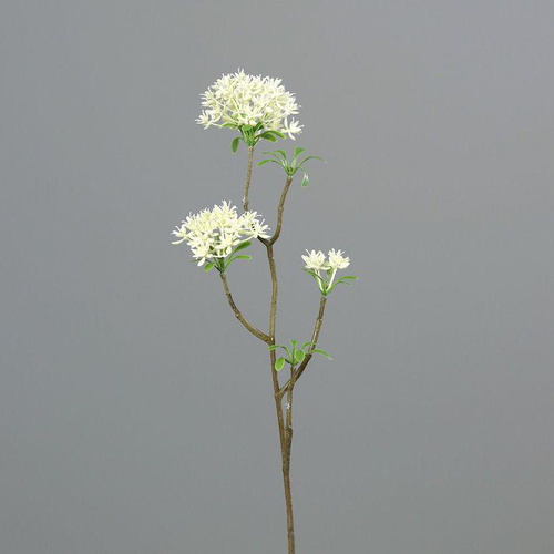 Visuel 1 du produit Branche artificielle de Bouvardia crème - 54 cm