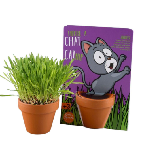 Visuel 1 du produit Kit de plantation herbe à chat carte nature chat Radis et Capucine