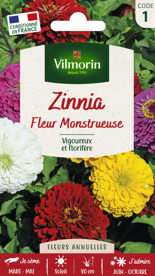 Visuel 1 du produit Graines de Zinnia fleur monstrueuse Vilmorin - graines à semer