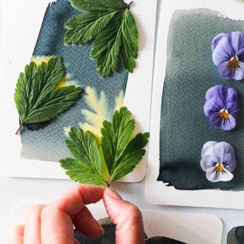 Visuel 3 du produit Kit DIY Mon atelier cyanotype La Petite Épicerie - 21 x 3 x 18 cm