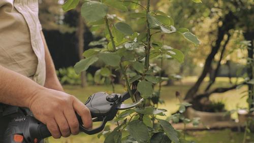 Visuel 5 du produit Sécateur électrique sans fil pointure douce coloris noir 26 mm Bahco - 12 x 5 x 29 cm