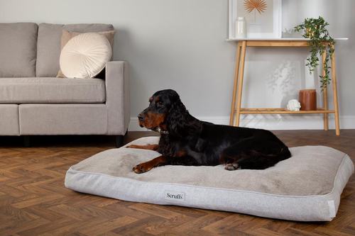 Visuel 5 du produit Couchage orthopédique pour chien coloris marron Scruffs Harvard - Taille XL 120 x 75 x 16 cm