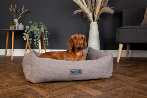 Visuel 3 du produit Couchage pour chien coloris gris corbeille Scruffs Ellen - Taille XL 90 x 70 x 18 cm