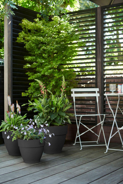 Visuel 6 du produit Pot vibia campana rond Elho de 3,2 L coloris noir Ø 20 x H 16,7 cm