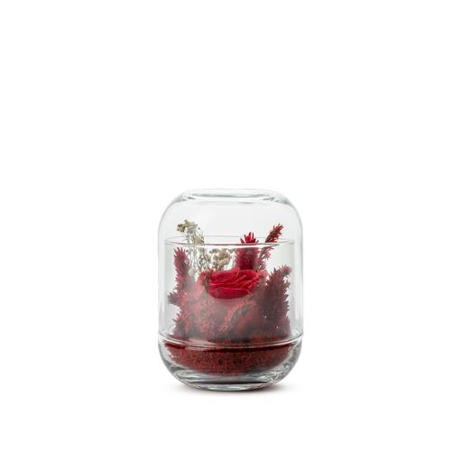 Visuel 1 du produit Verrine de végétaux stabilisés coloris rouge Naturalys Capsule - Ø 8 x H 12 cm
