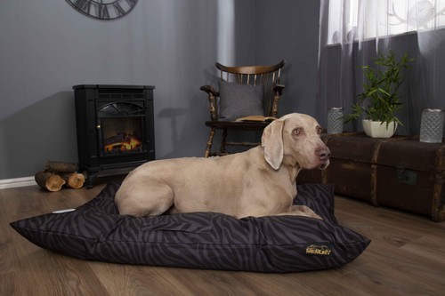 Visuel 6 du produit Coussin imperméable à mémoire de forme pour chien Expédition Scruffs - Taille L