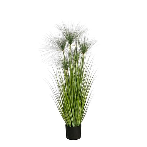 Visuel 1 du produit Papyrus artificiel en pot - Ø 17 x H 127 cm