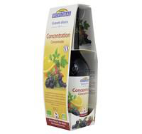 Visuel 1 du produit Elixir concentration bio Biofloral - 350 ml