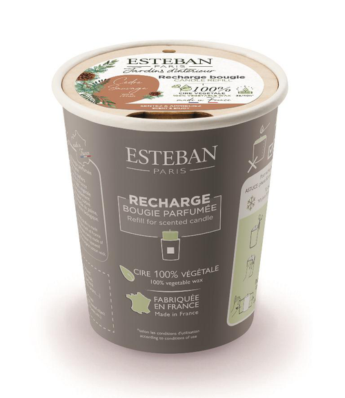Visuel 1 du produit Recharge de bougie parfumée Esteban senteur Cèdre sauvage - 180 g